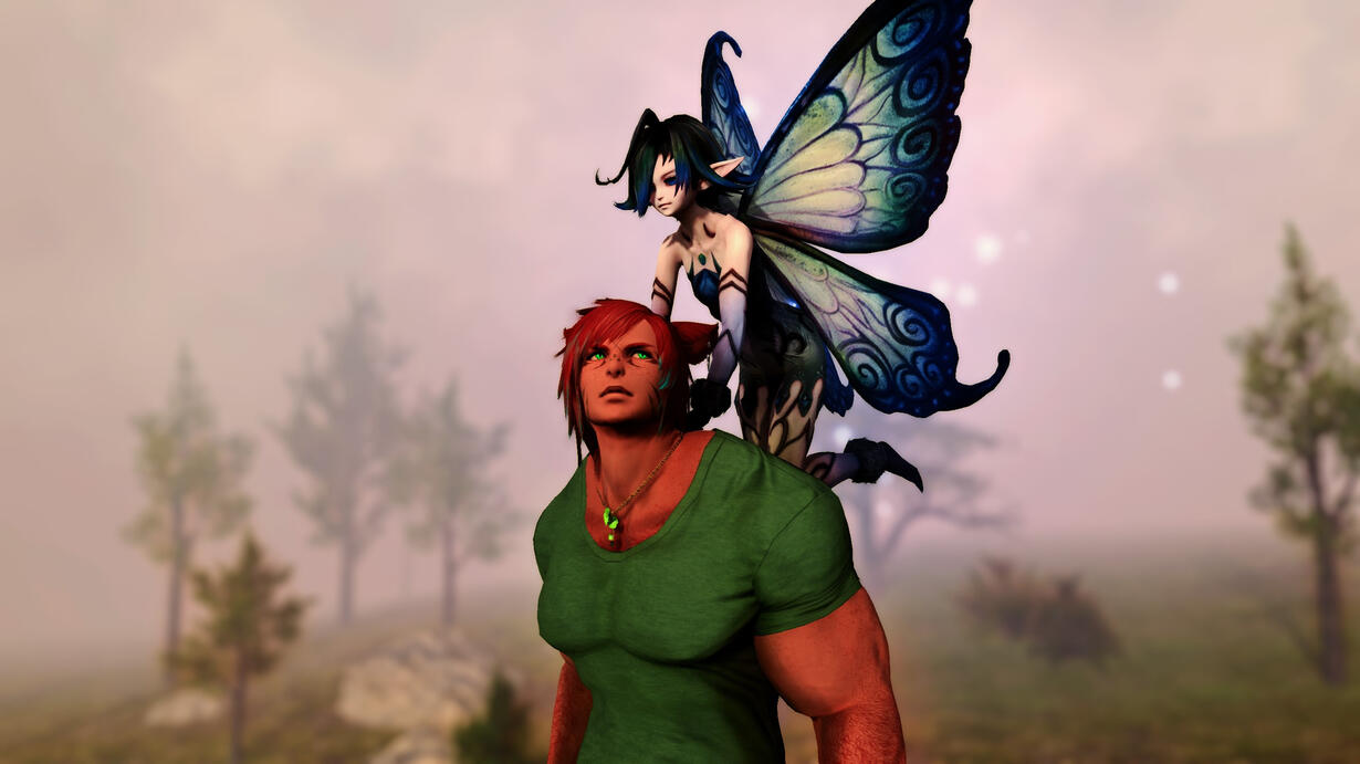 Nikodemus being carried by a fairy